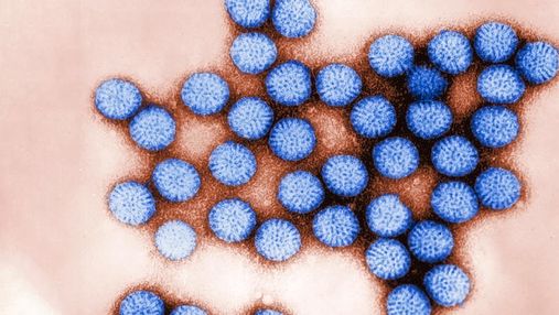 Выяснили, как действует ротавирус: 30 лет ученые считали это загадкой