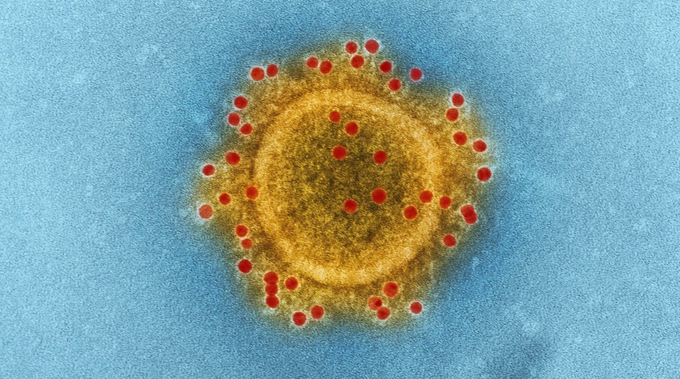 Виявили першу значну мутацію COVID-19: вірус слабшає