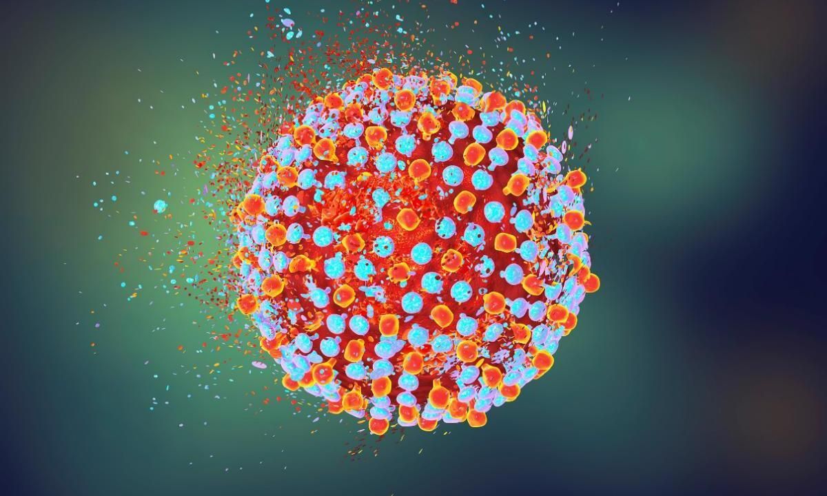 Выяснили, как коронавирусный возбудитель проникает в клетки Выяснили, как коронавирусный возбудитель проникает в клетки