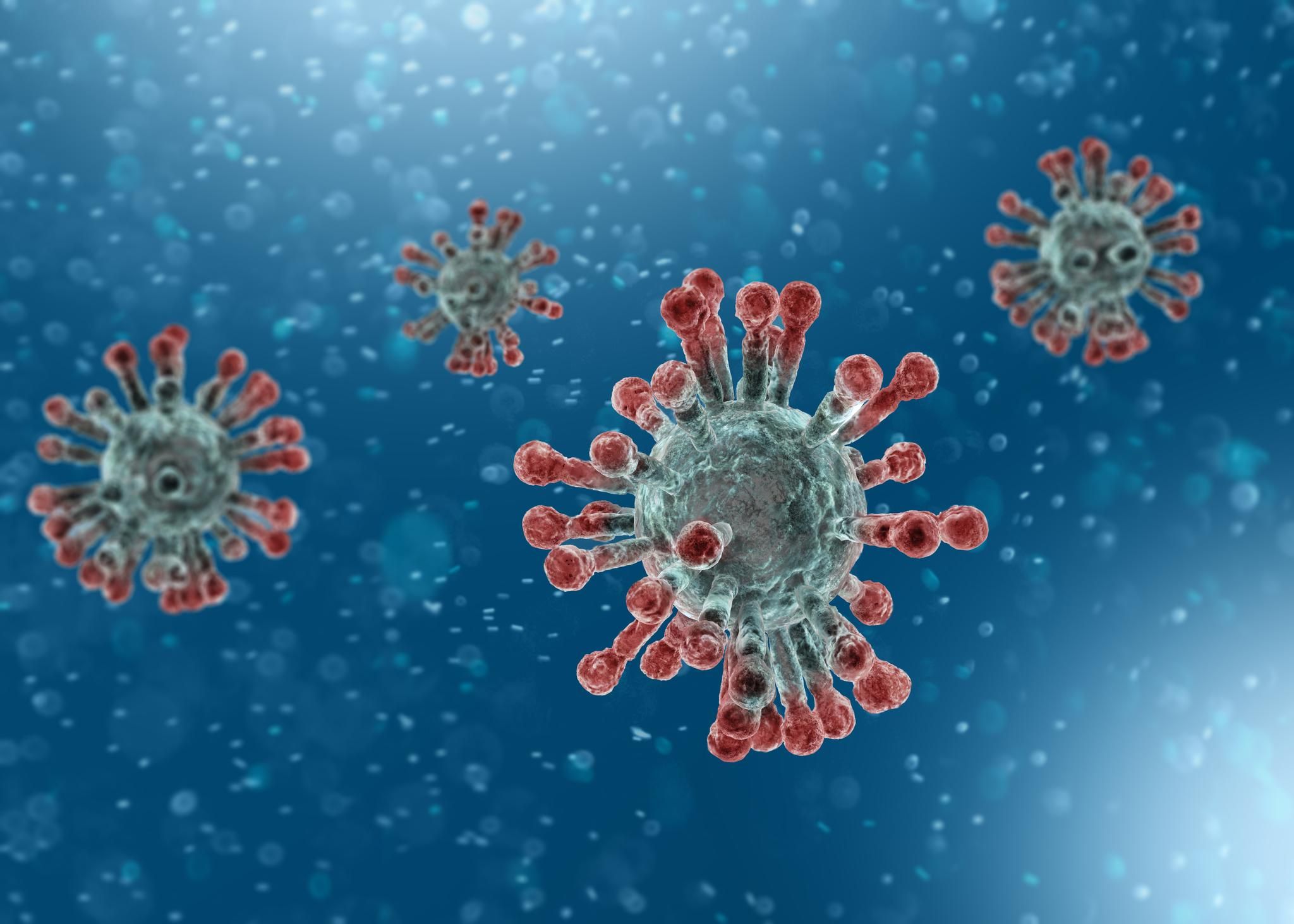 Пандемия коронавируса может длиться два года, – американские ученые