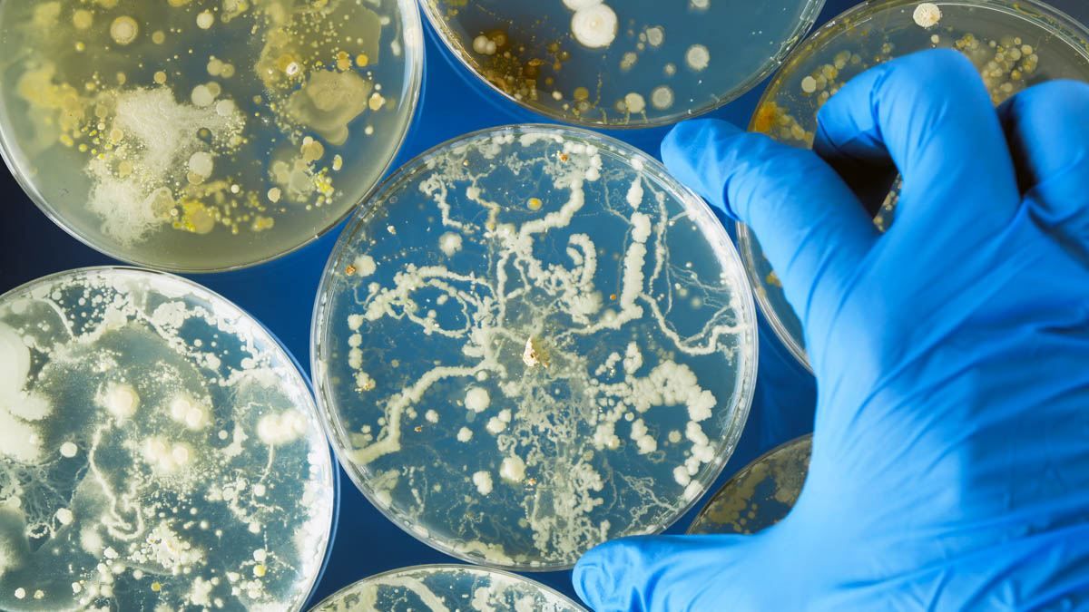 Коронавирус поражает еще одну важную систему организма: исследования