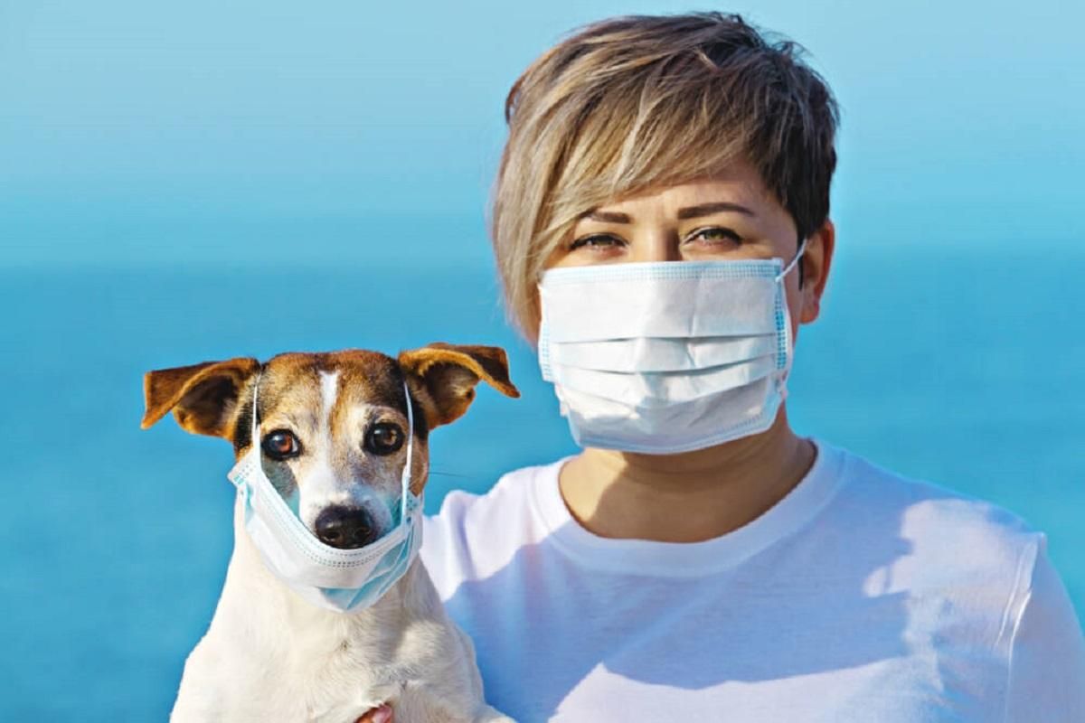 Человек может заразить собаку коронавируса - 24 Канал