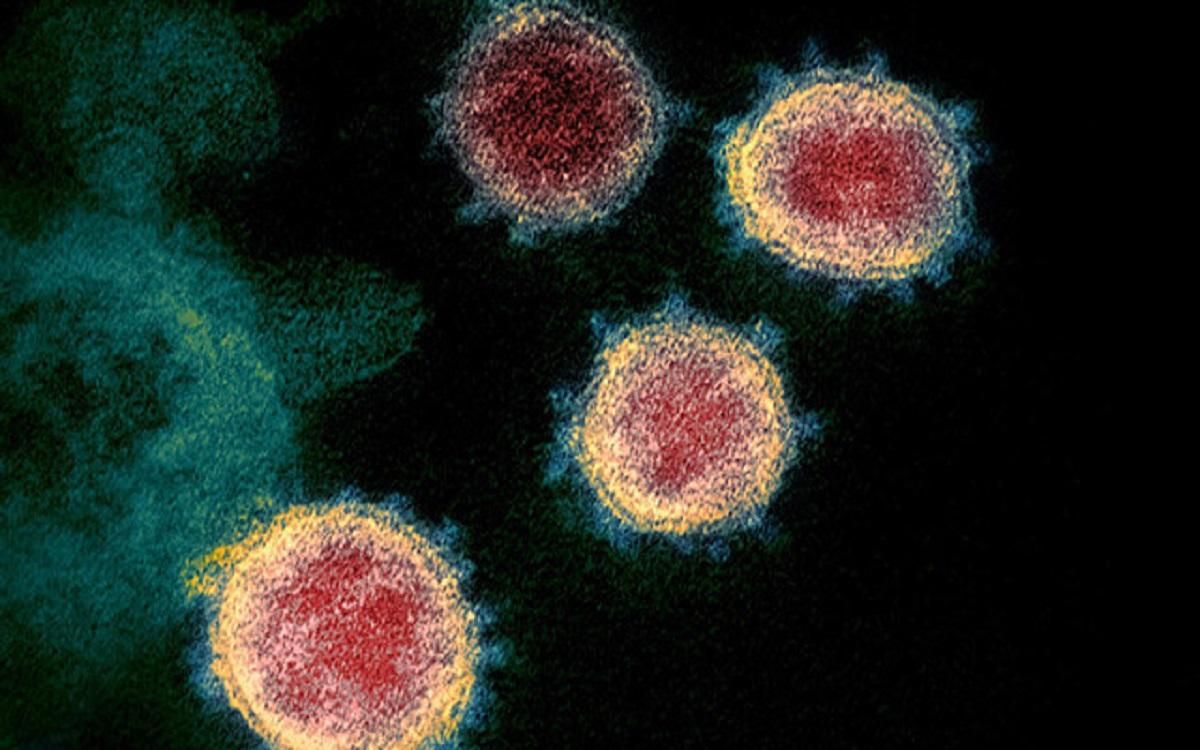 У фекаліях пацієнтів з COVID-19 виявили живий збудник коронавірусу