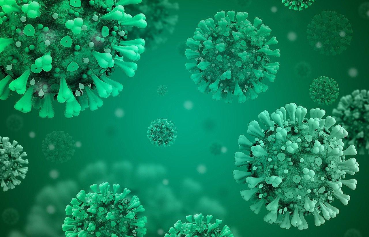 Імунітет до коронавірусу може тривати всього пів року, – дослідження - 24 Канал