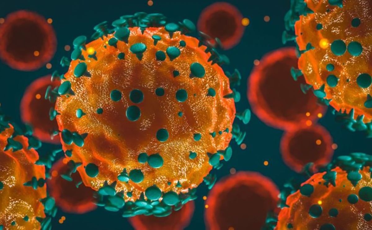 Новое важное открытие в строении коронавируса и новые данные о его происхождении