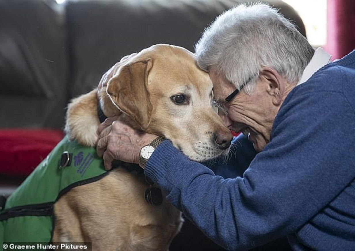 Як собака-помічник робить хворих на деменцію щасливішими: унікальна історія
