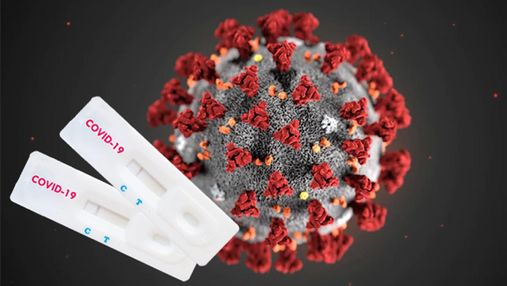 Виявили 28 антитіл, які нейтралізують коронавірус