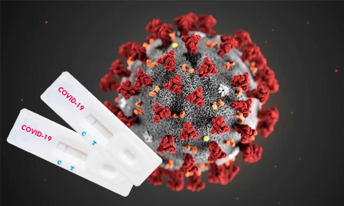 Обнаружили 28 антител, которые нейтрализуют коронавирус