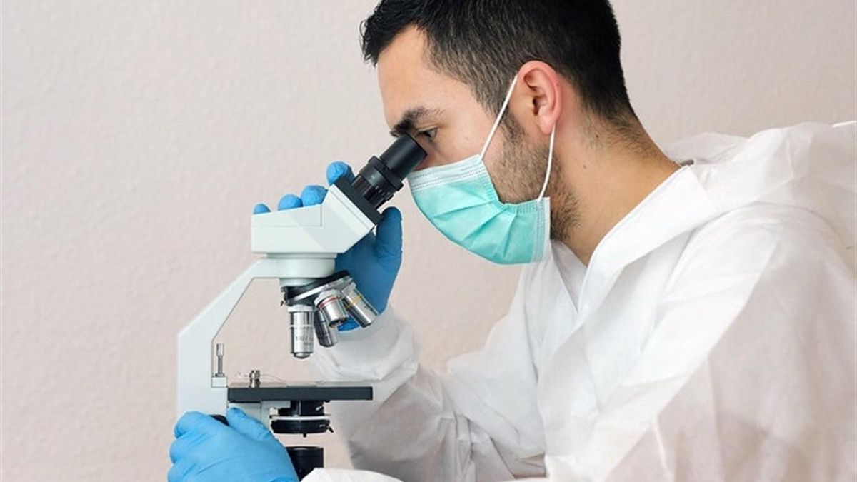 У Туреччині почали масштабне дослідження мутацій COVID-19: деталі У Туреччині почали масштабне дослідження мутацій COVID-19: деталі