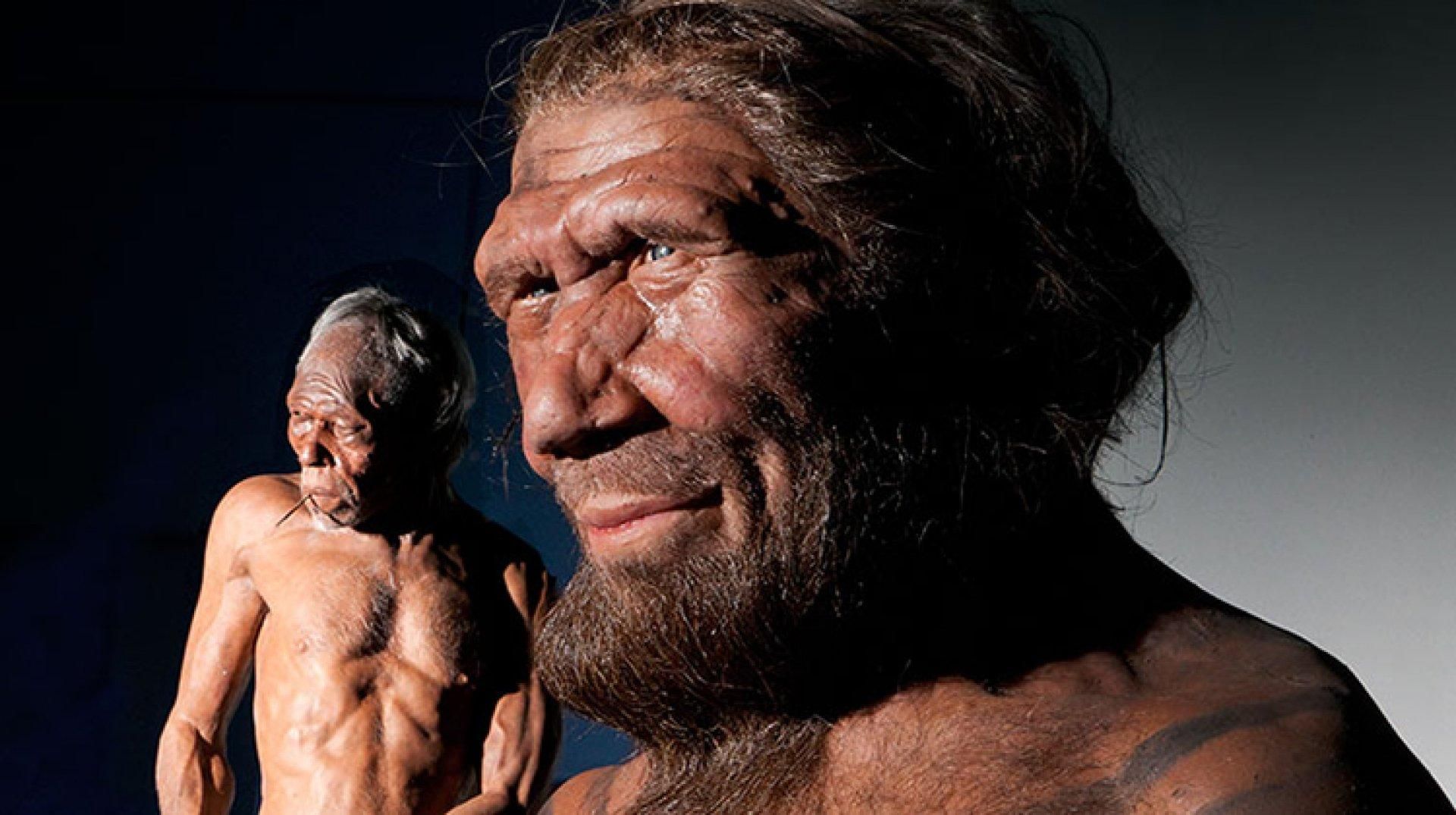 Болезненность человека – результат мутаций около 2 миллионов лет назад