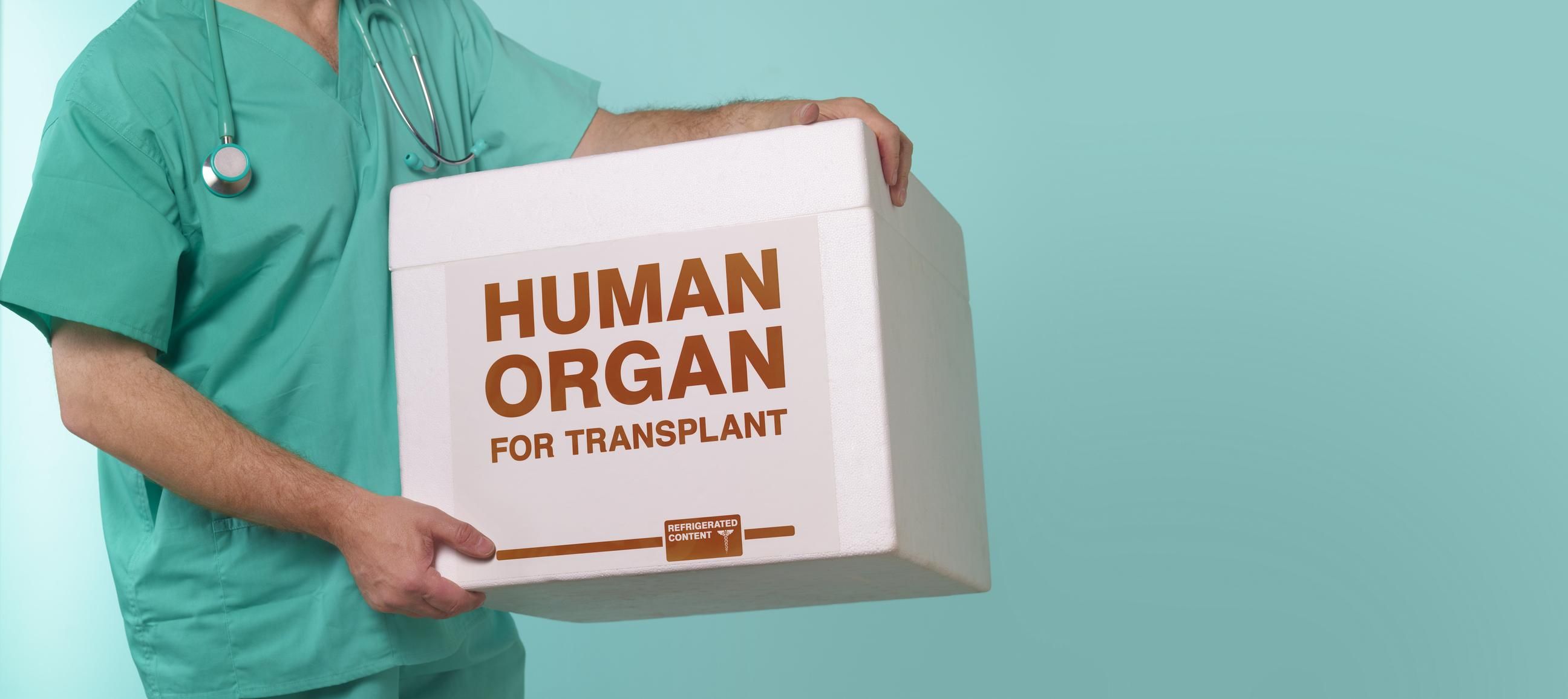 Уряд затвердив порядок перевезення трансплантатів через кордон