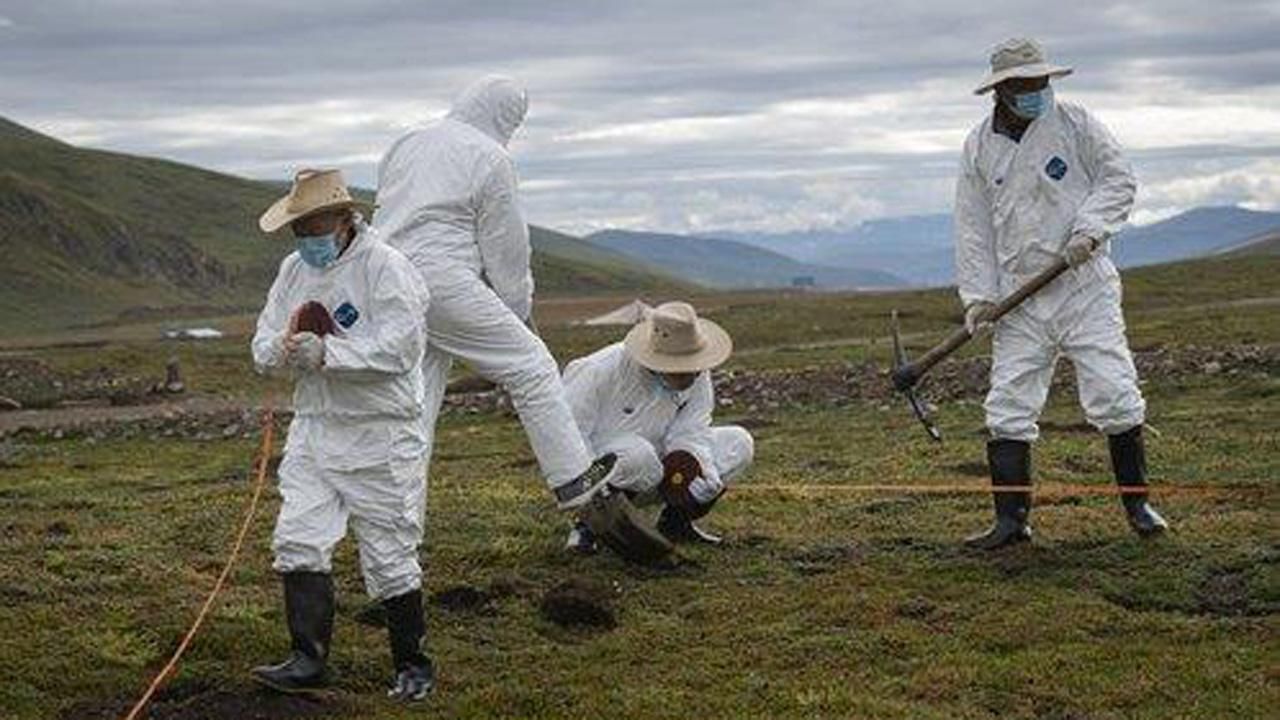 Чума в Китае в провинции Внутренняя Монголия 2020 Чума в Китае в провинции Внутренняя Монголия 2020