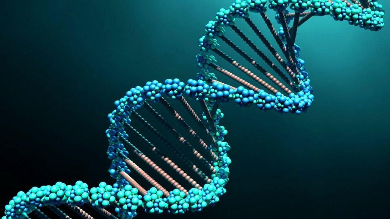 В современных людей обнаружили ДНК неизвестных предков
