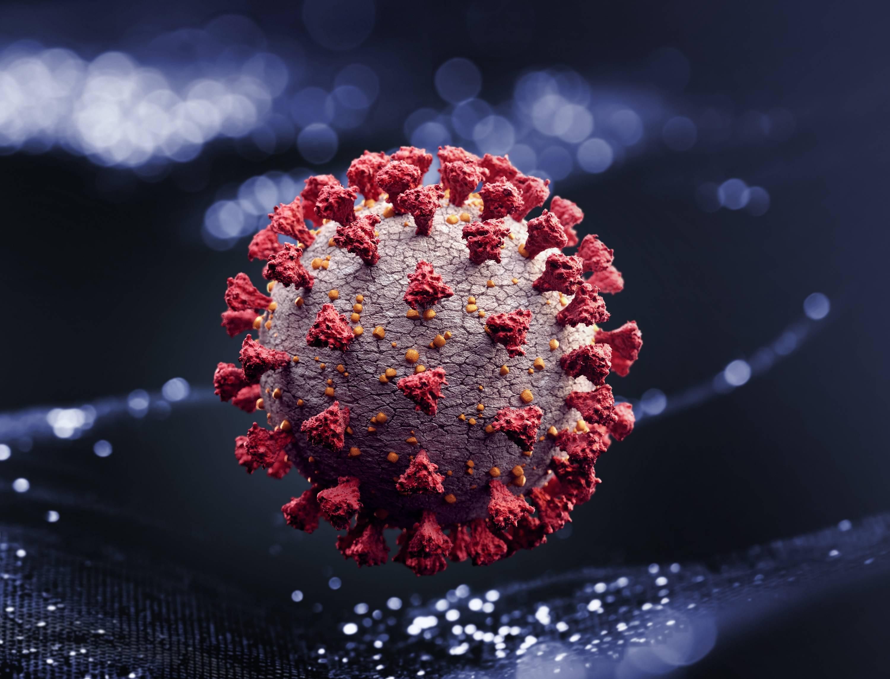 Нове дослідження про імунітет до коронавірусу