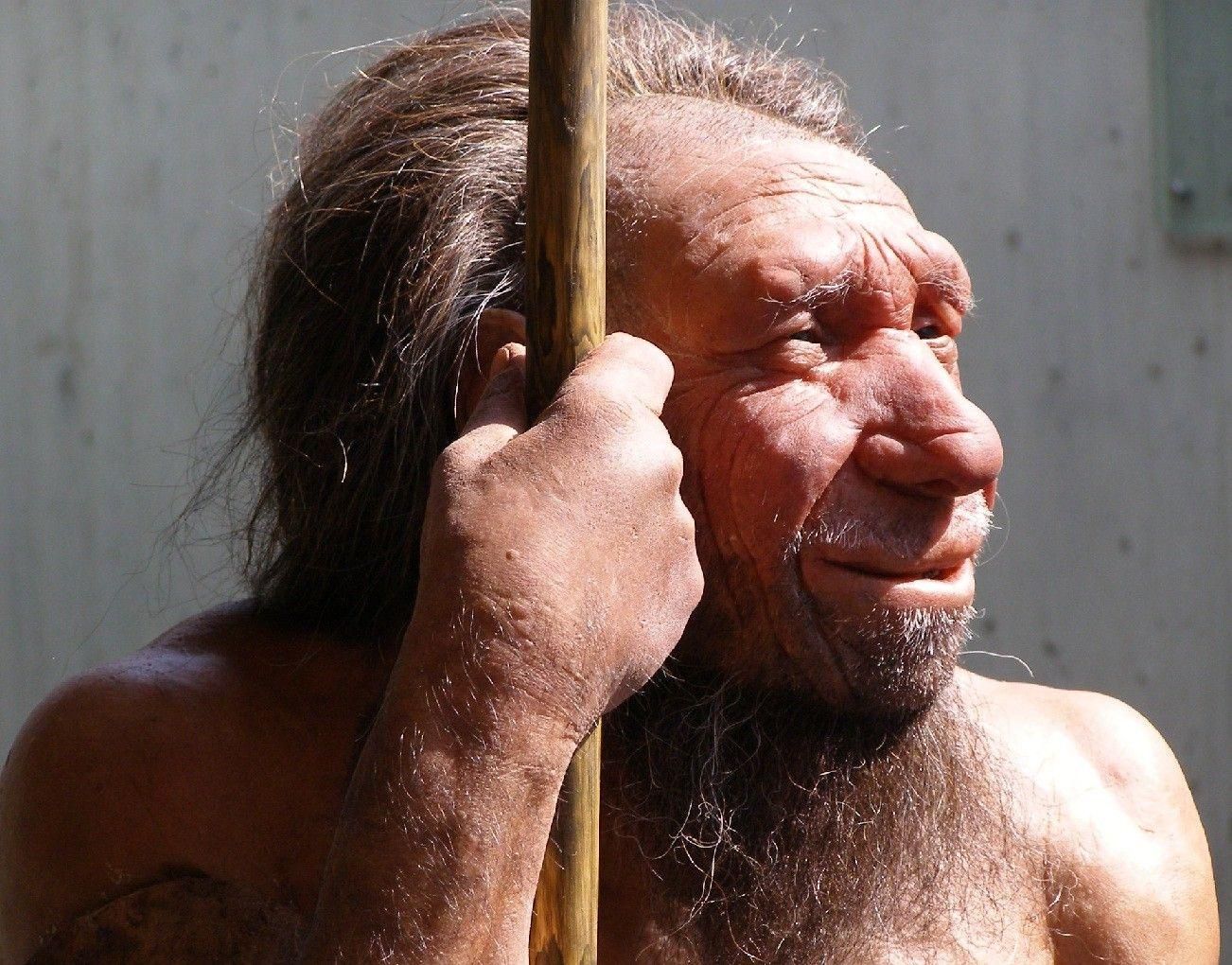  Гени неандертальця втричі збільшують ризик важкого перебігу COVID-19: дослідження