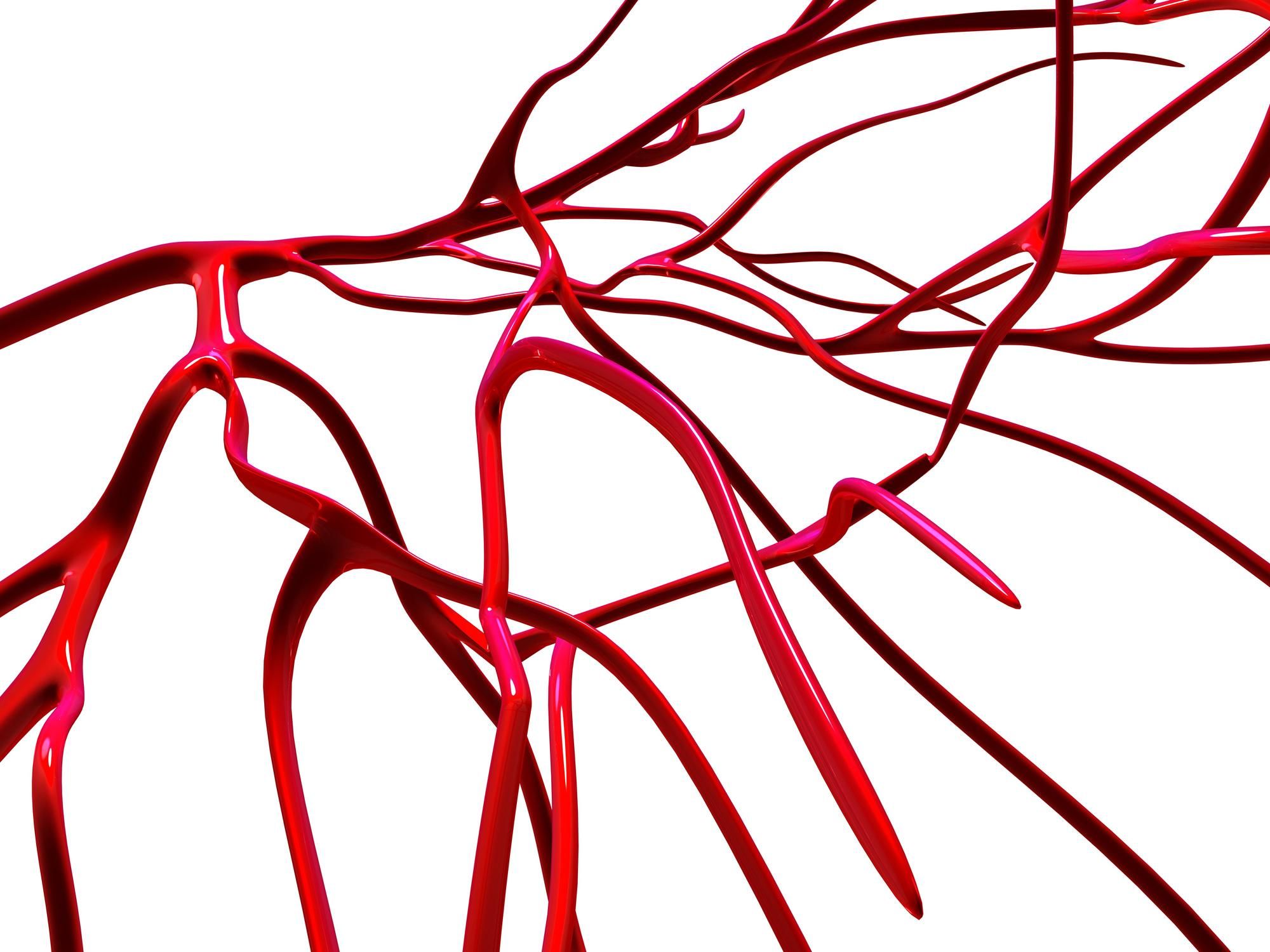 Ученые создали электронные кровеносные сосуды: что известно Ученые создали электронные кровеносные сосуды: что известно