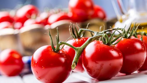 Японія схвалила продаж перших в країні геномодифікованих овочів: почали з помідорів 
