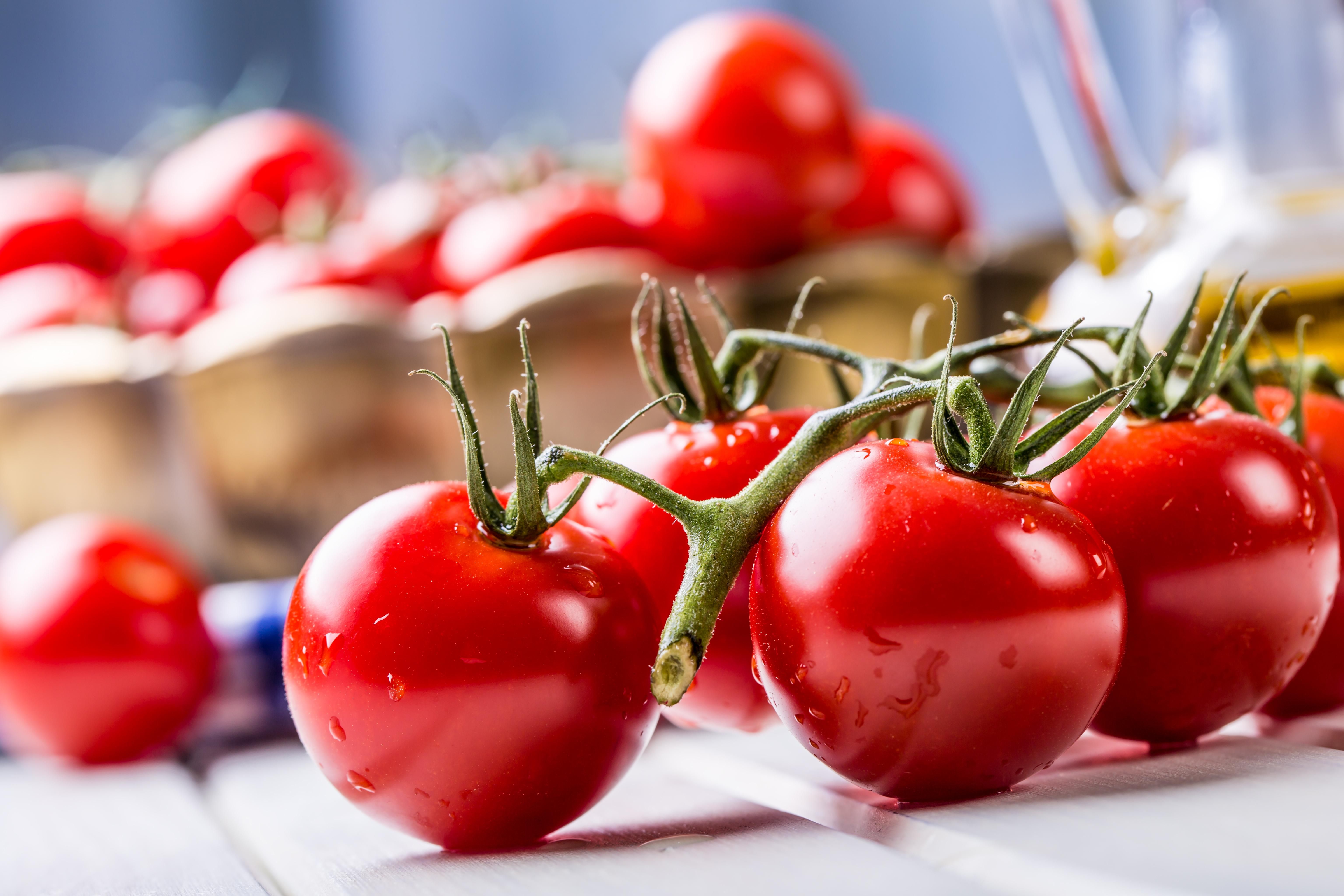 В Япония впервые начнут продажу генномодифицированных овощей: пока разрешение дали только помидорам