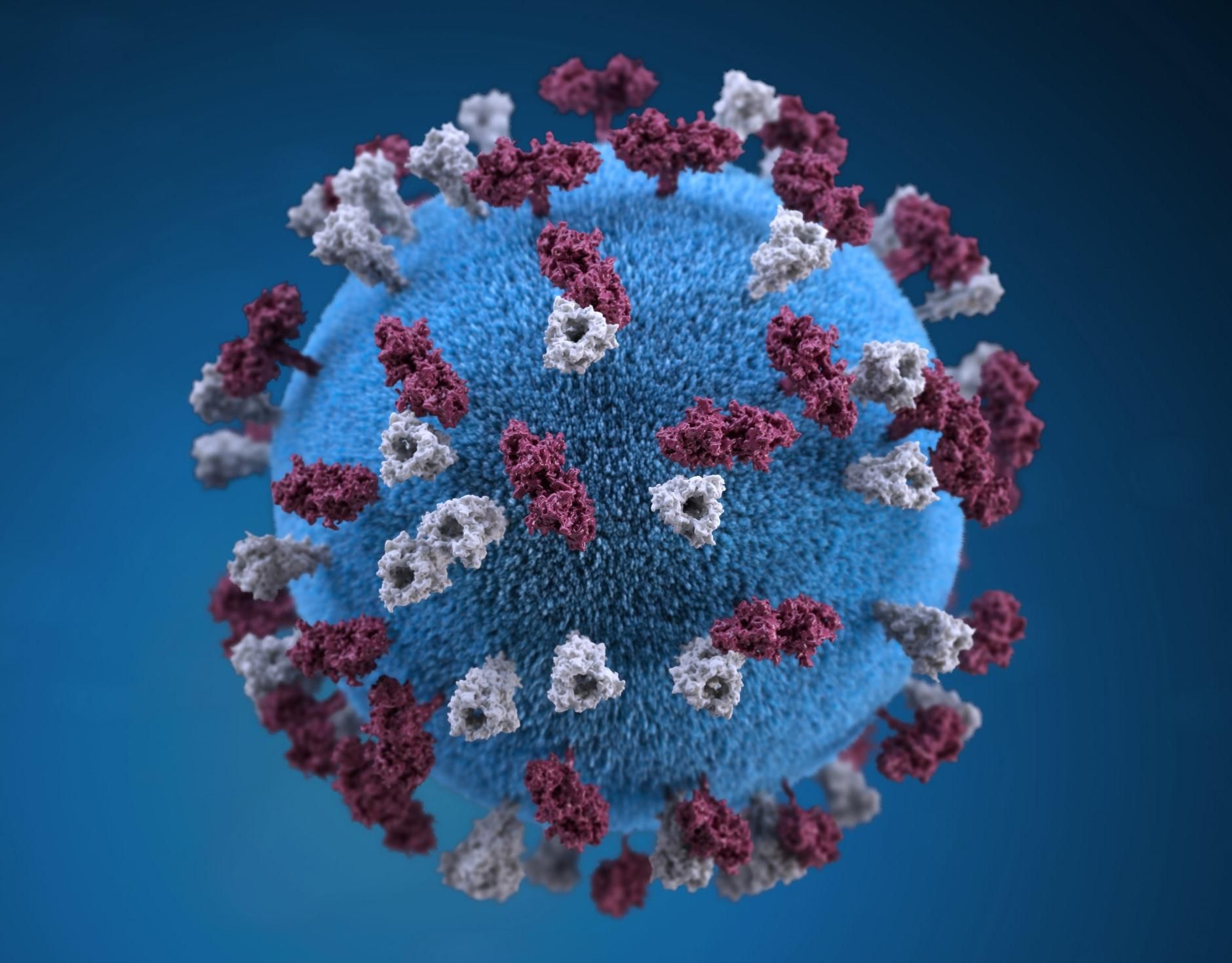 Які штами коронавірусу є в Україні і в яких регіонах: відповідь МОЗ