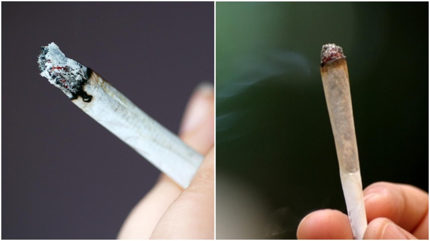 Шкода марихуани та цигарок: порівняння, результати дослідження