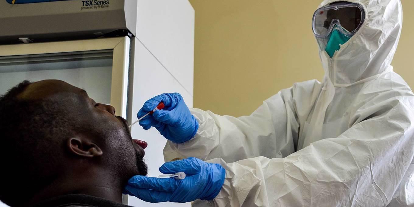 У Кенії виявили 16 нових видів коронавірусу