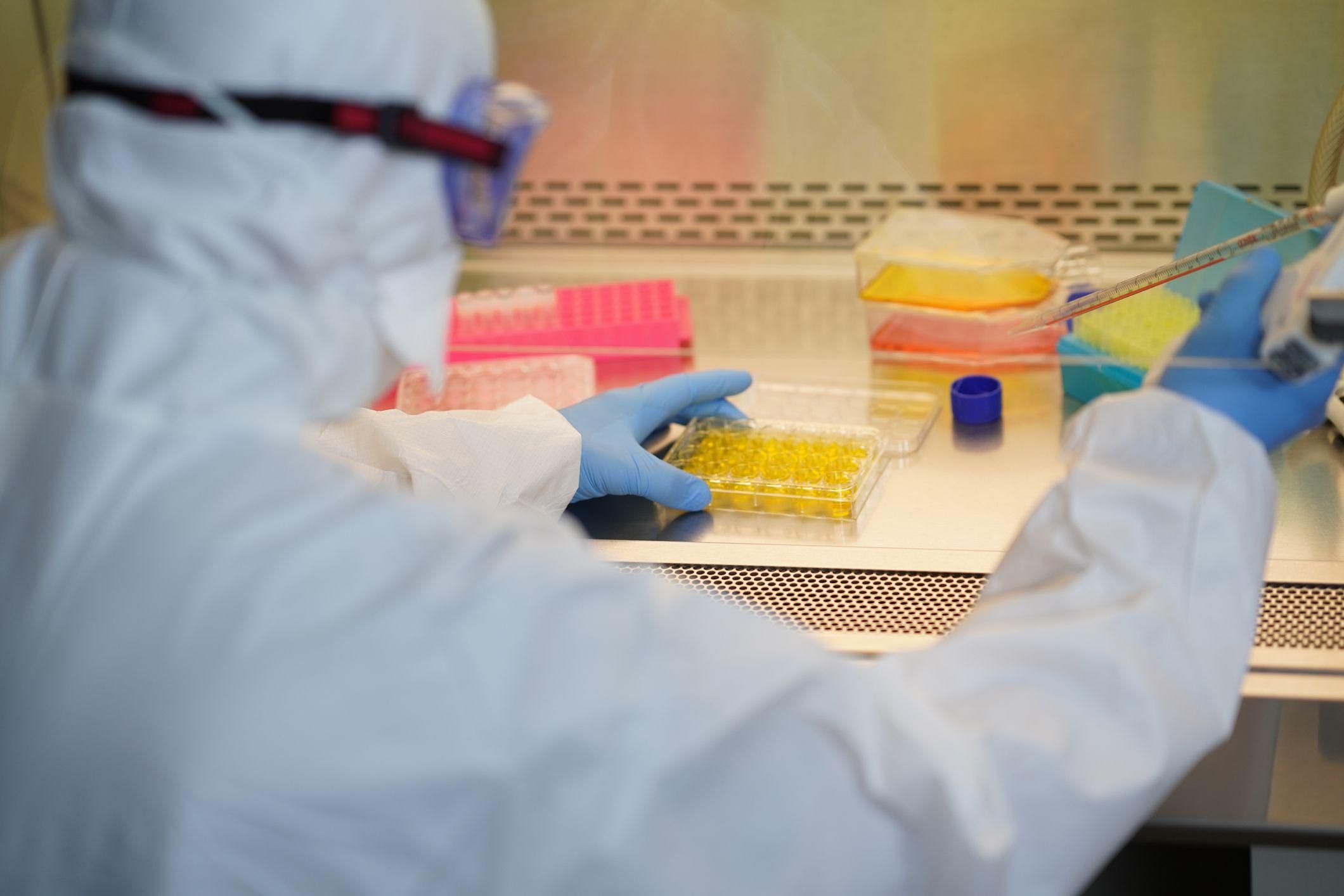 Степанов напомнил, как оперативно протестироваться на коронавирус Степанов напомнил, как оперативно протестироваться на коронавирус