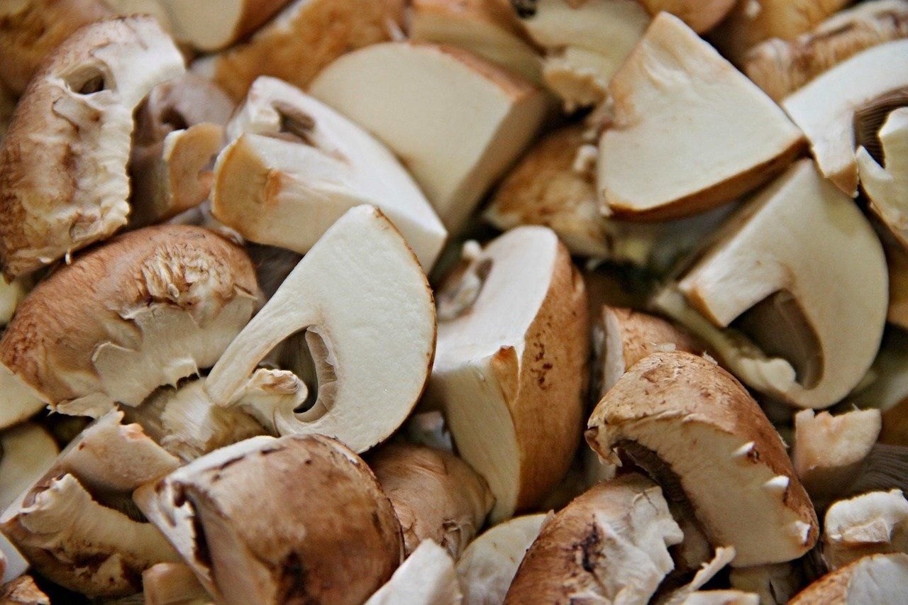 Грибы – польза и действительно ли вредят грибы для здоровья 