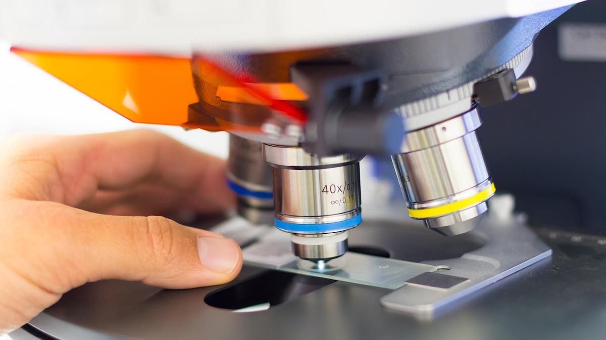 Новых штаммов коронавируса в Украине пока не выявляли, – ВОЗ Новых штаммов коронавируса в Украине пока не выявляли, – ВОЗ