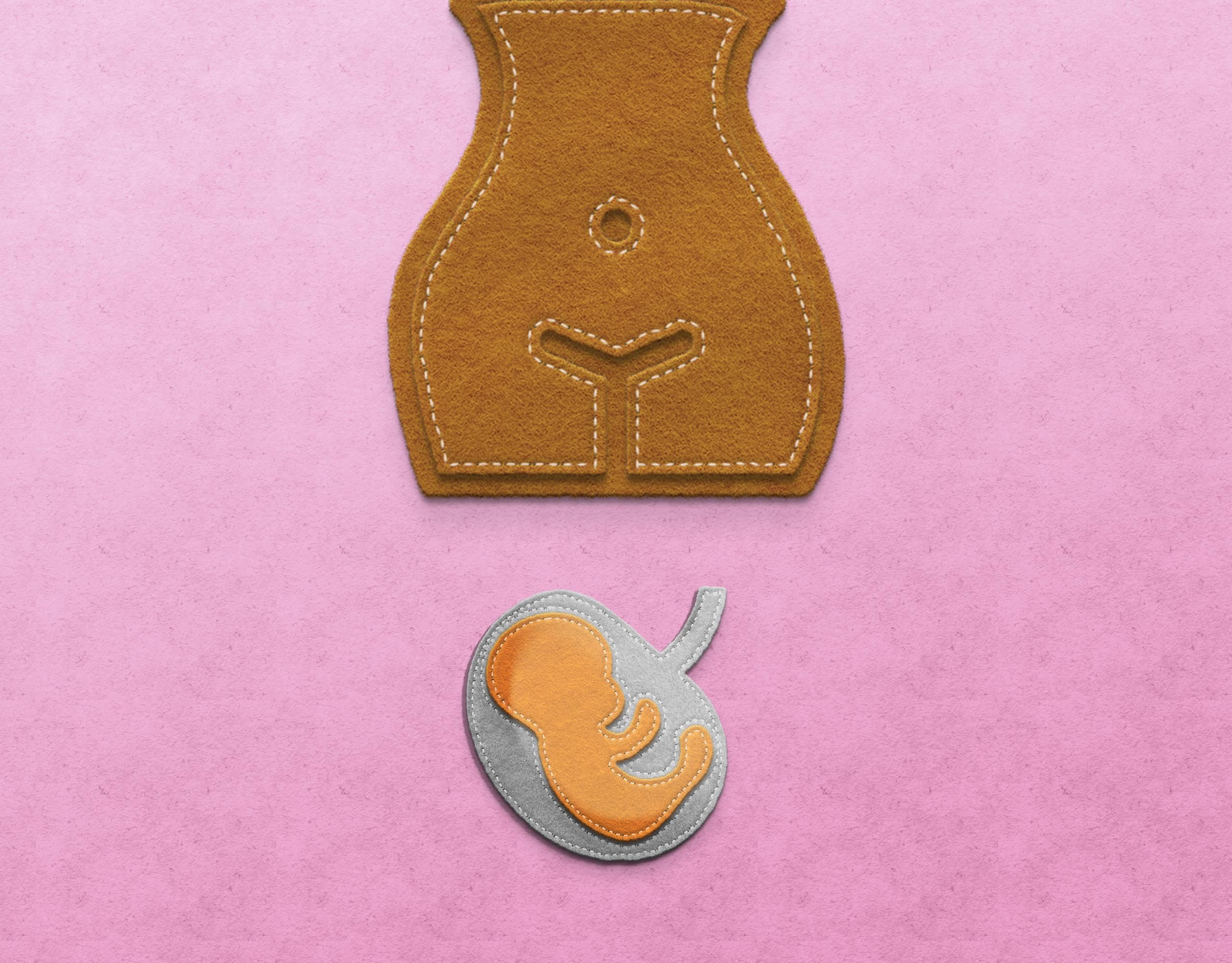 В плаценті матері виявили мікропластик, який може потрапляти до організму плода: дослідження В плаценті матері виявили мікропластик, який може потрапляти до організму плода: дослідження