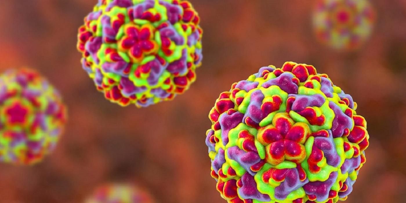 Нова гіпотеза: звичайна застуда витісняє коронавірус з організму