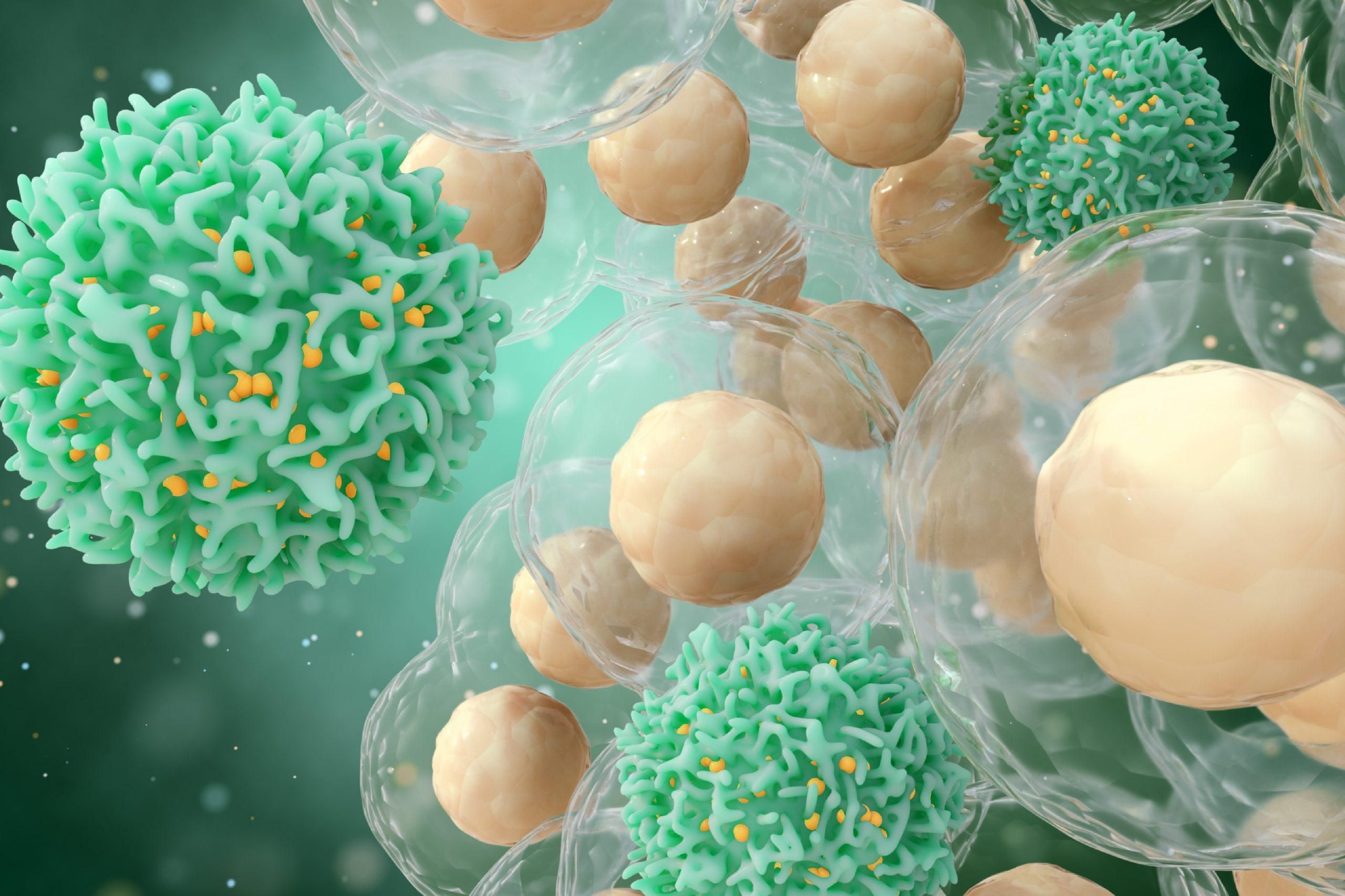 Новая иммунотерапия убивает раковые клетки изнутри
