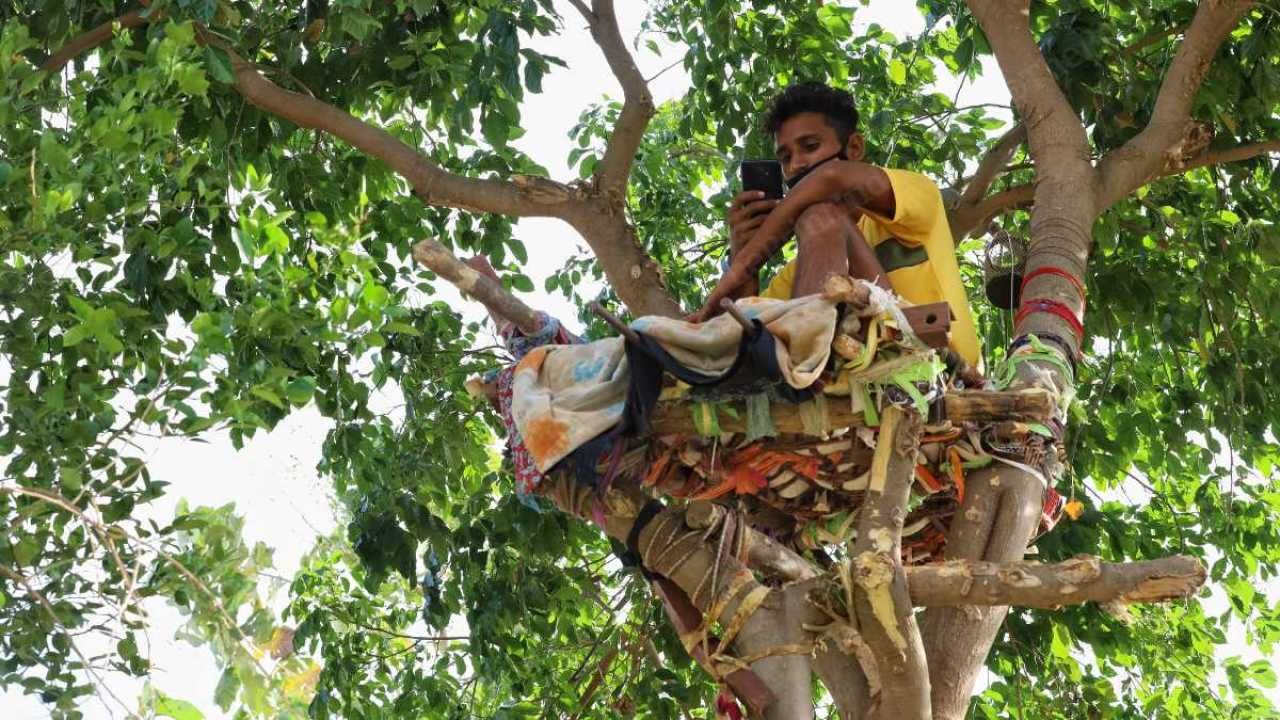 Студент провів 11 днів на дереві, щоб не заразити коронавірусом рідних