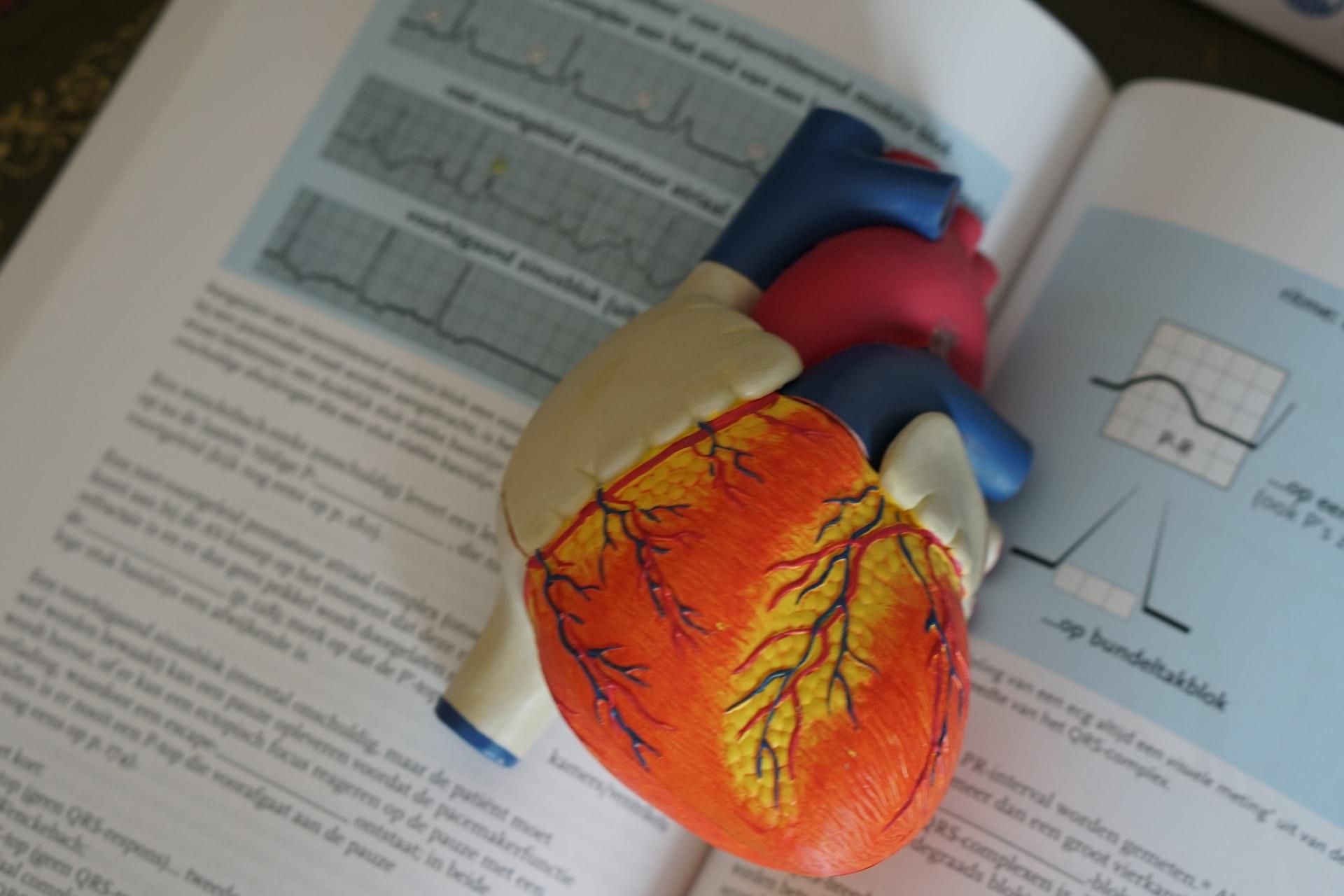 Как избежать сердечно-сосудистых болезней: советы ведущего кардиохирурга