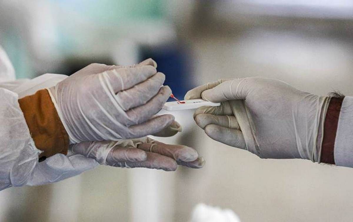 Чорна цвіль дісталася до Іраку: вже померли люди Чорна цвіль дісталася до Іраку: вже померли люди