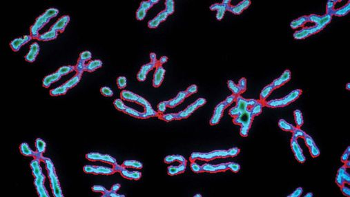 Скільки важать хромосоми людини: вчені вперше визначили їхню масу