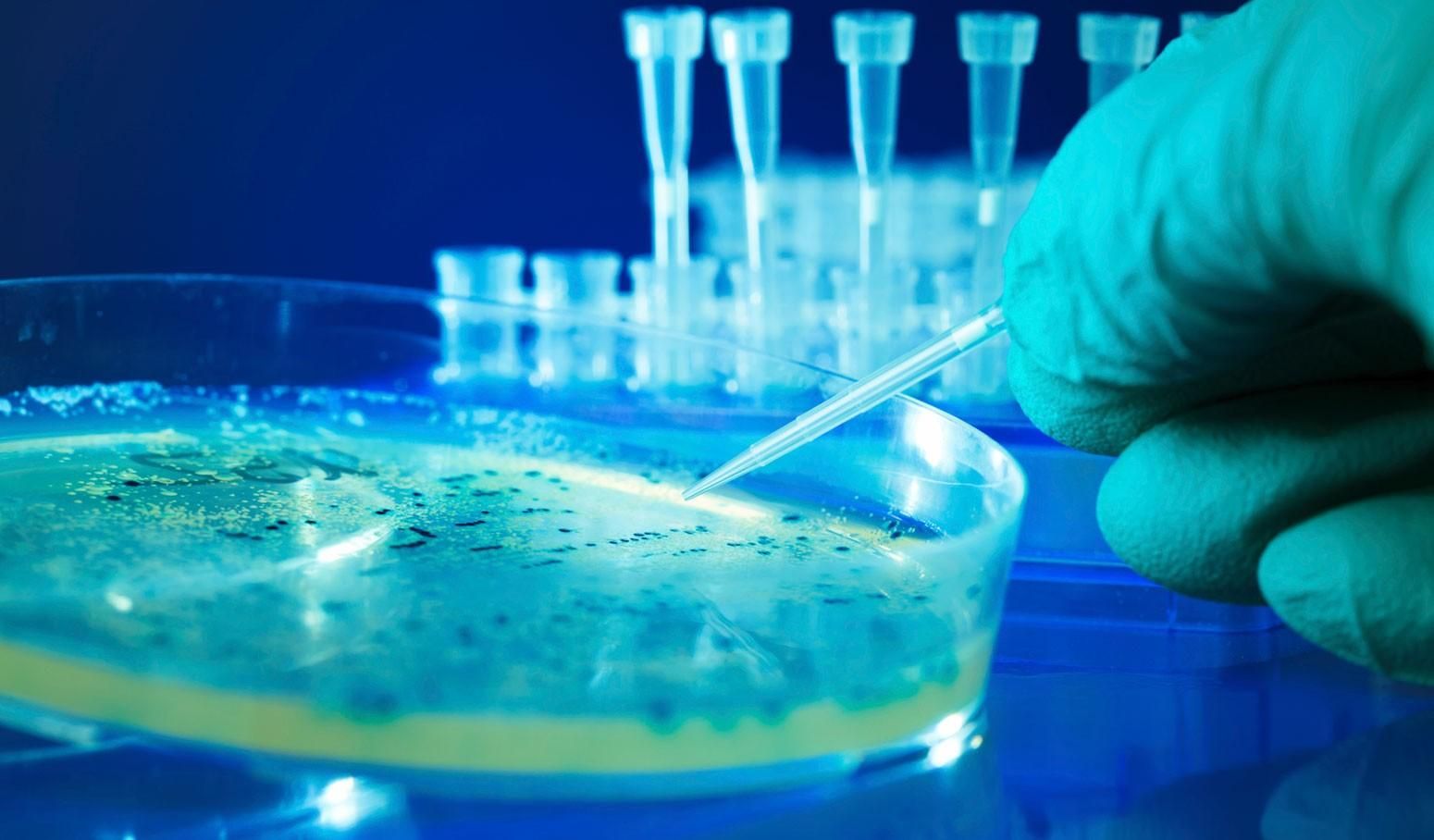 В Великобритании выявили оспу обезьян: заразились три человека В Великобритании выявили оспу обезьян: заразились три человека