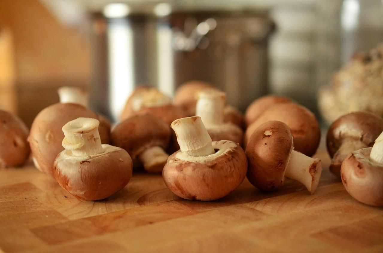 Осторожно, грибы: как выбрать, чтобы не отравиться