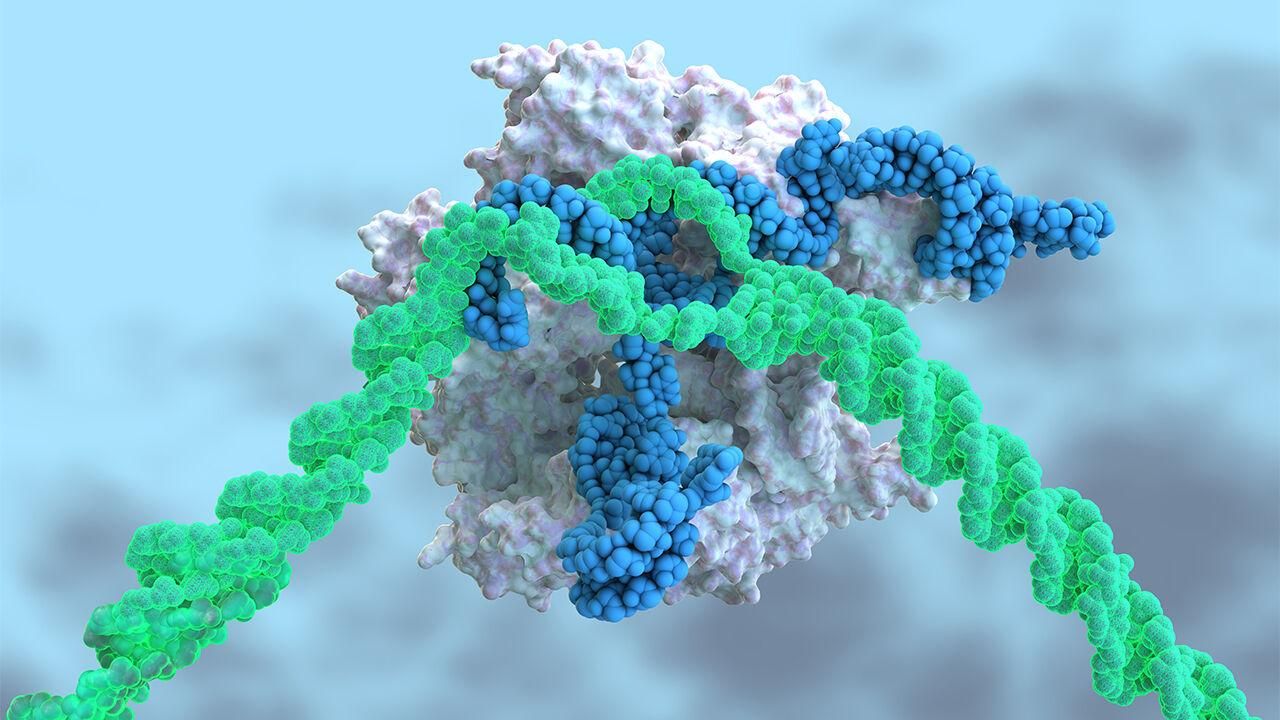 Всього один укол CRISPR зупиняє важке генетичне захворювання