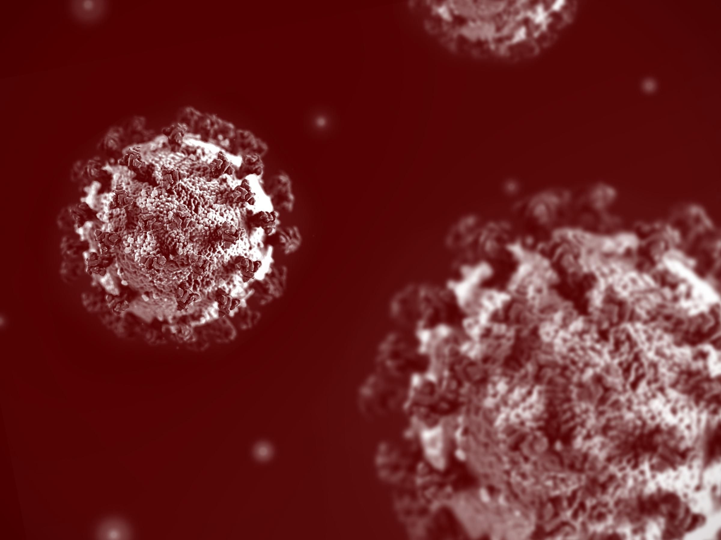 Коронавирус изменяет клетки крови у всех, кто переболел им