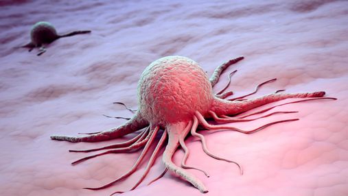Стартап из США выращивает раковые опухоли, чтобы подобрать эффективное лекарство для онкобольных