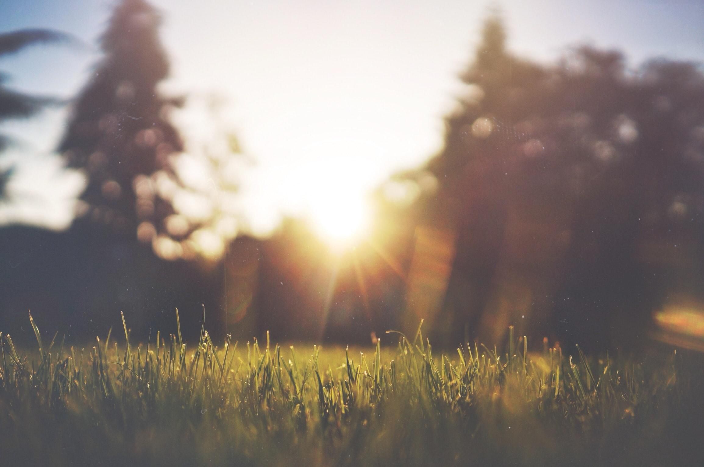 Перегреться на солнце: как уберечься от теплового удара – эффективные советы, симптомы
