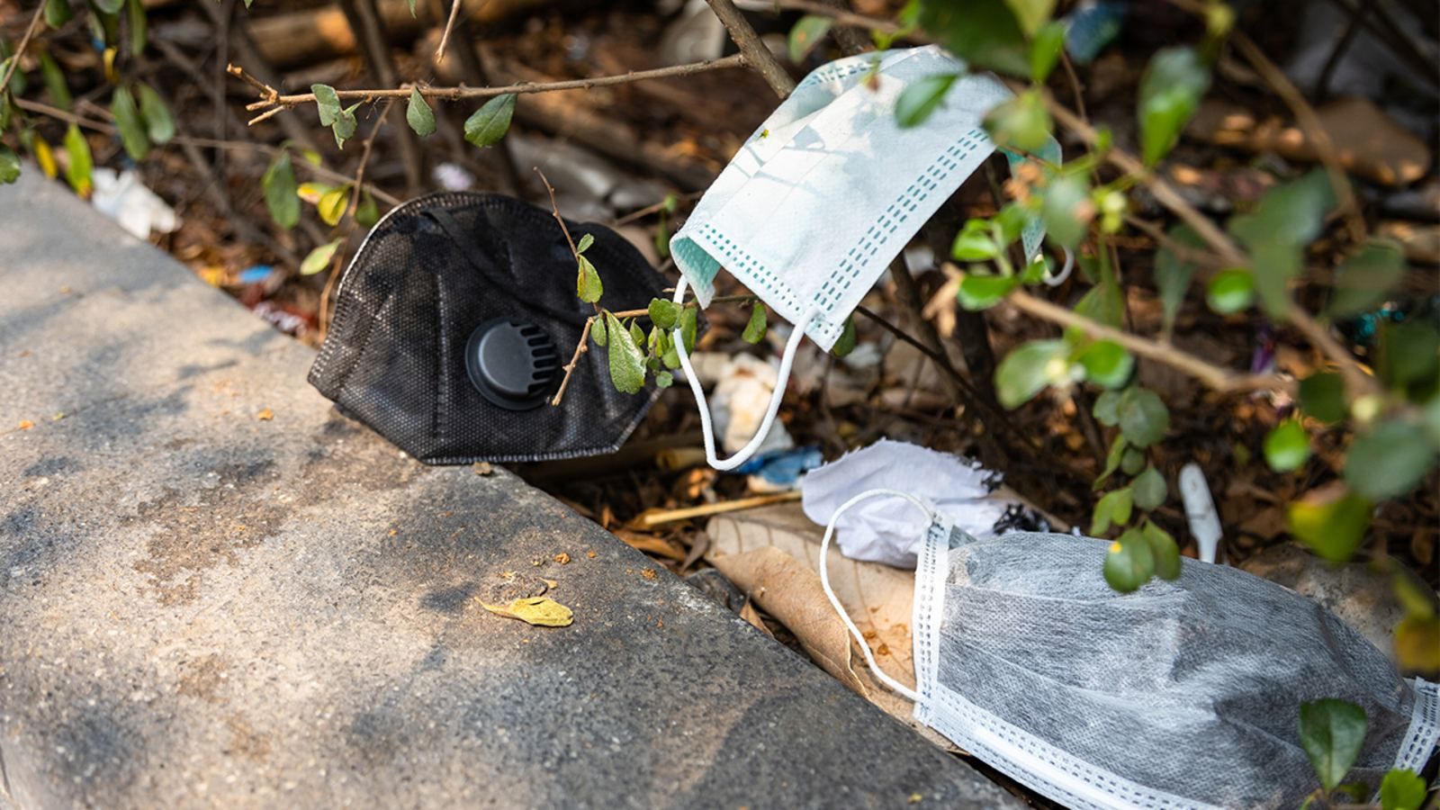 Эпидемия пластика: как сказался COVID-19 на экологии и что с этим можно сделать Эпидемия пластика: как сказался COVID-19 на экологии и что с этим можно сделать