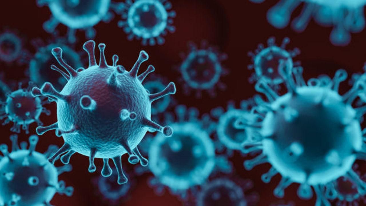 Вчені знайшли нові можливі шляхи проникнення коронавірусу в мозок
