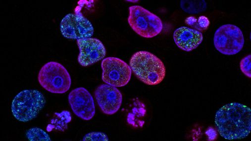 Новый прорыв: почему одинаковые мутации вызывают различные типы рака
