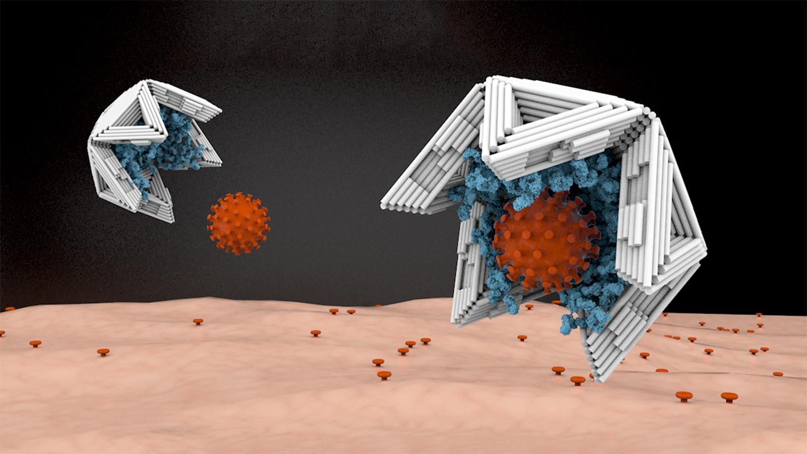 Вчені створили пастки для вірусів з ДНК-матеріалу