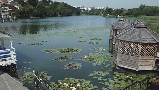 У Вінниці вирощують 16 видів лілій на одній водоймі: для містян влаштували фотосесію – відео