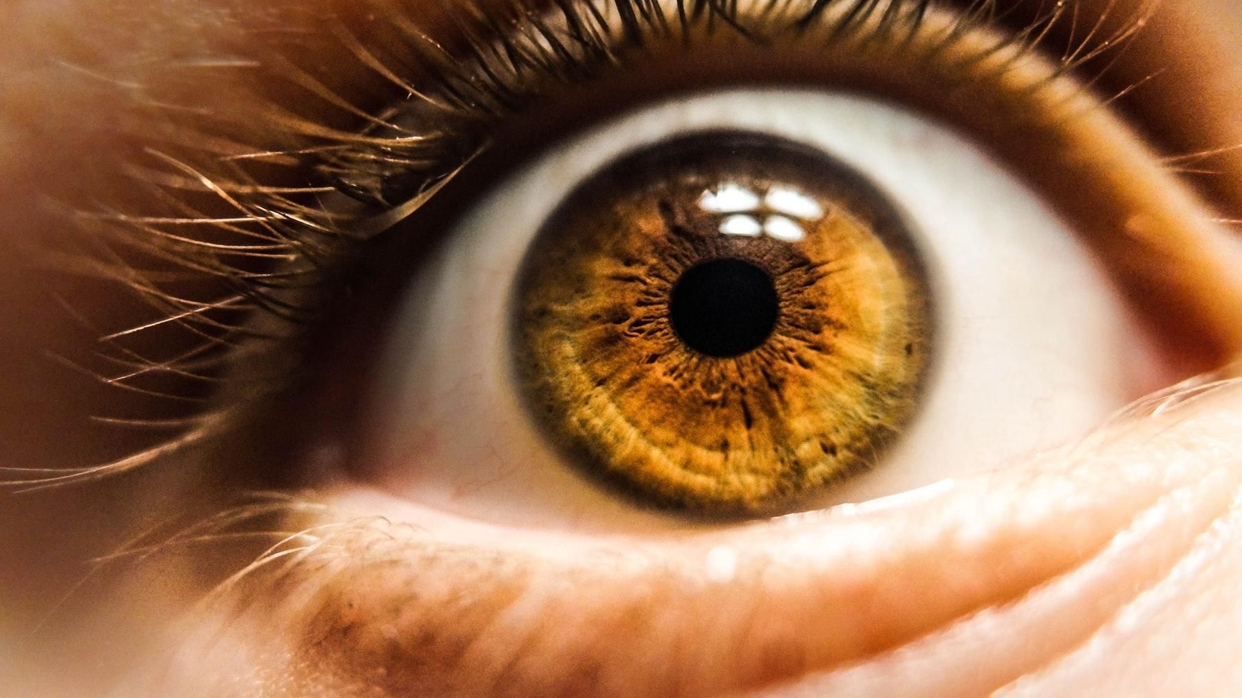 Обнаружили способ приготовления пищи, который негативно влияет на здоровье глаз
