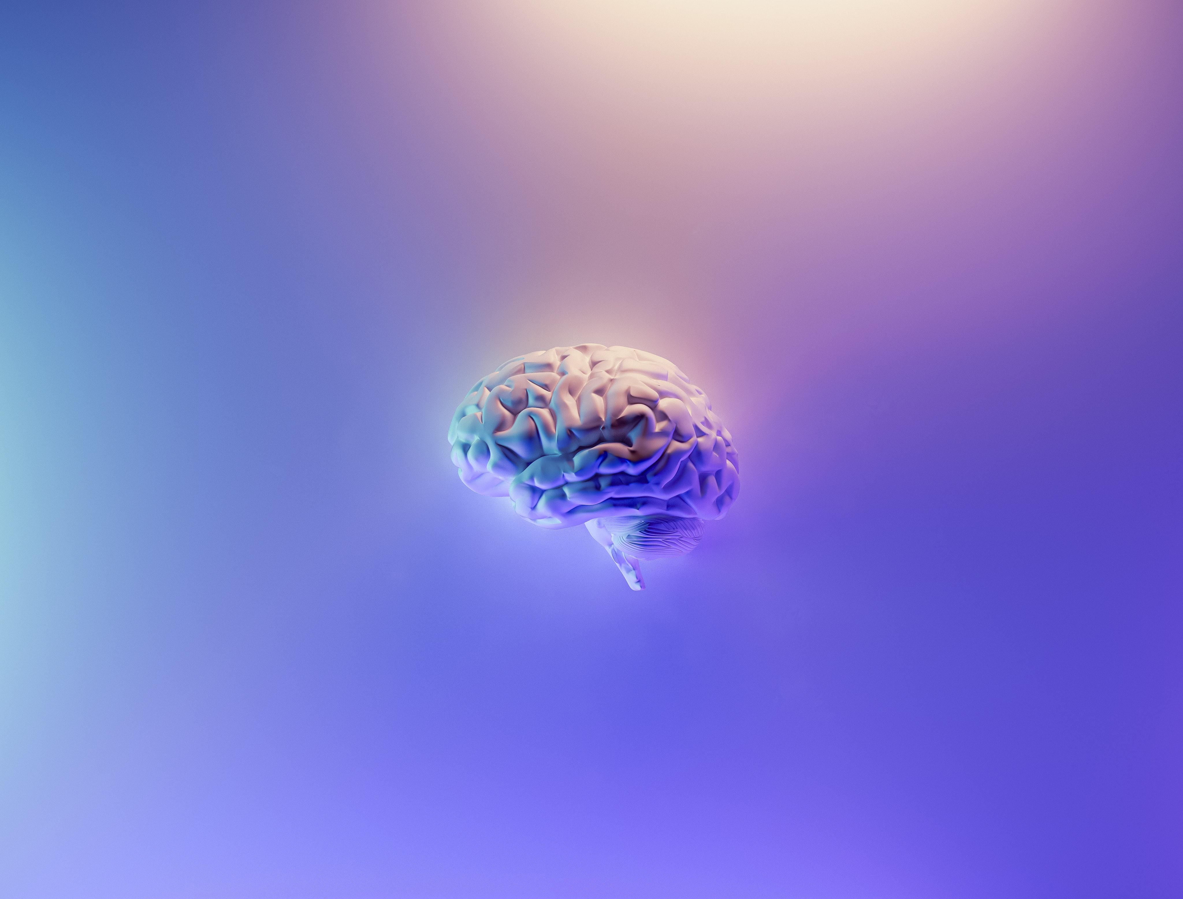 Створили штучні клітини мозку, які зберігають спогади: інтригуюче дослідження - Новини Здоров’я
