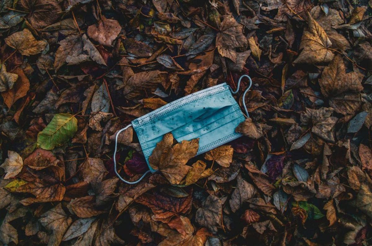 Это может потребоваться, – Донской сказал, ждать ли локдаун осенью Это может потребоваться, – Донской сказал, ждать ли локдаун осенью