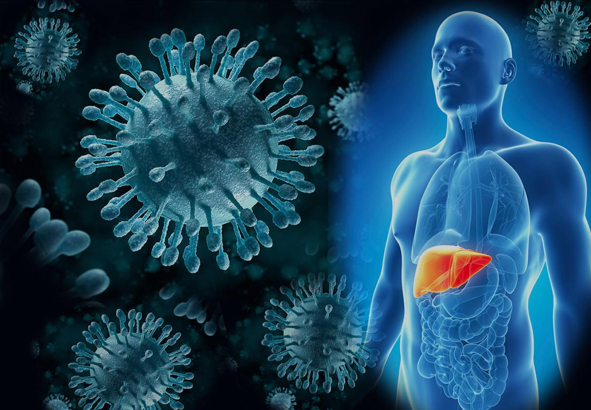 Лише 6% хворих на гепатит знають про свій діагноз, – експертка ЦГЗ - Новини Здоров’я